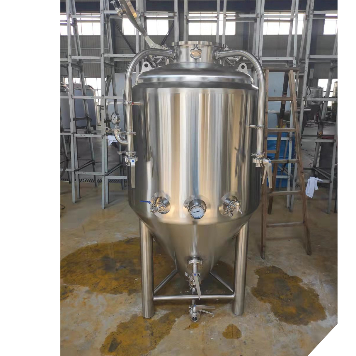 Nano brewery Equipment with 20HL Fermentation Tank